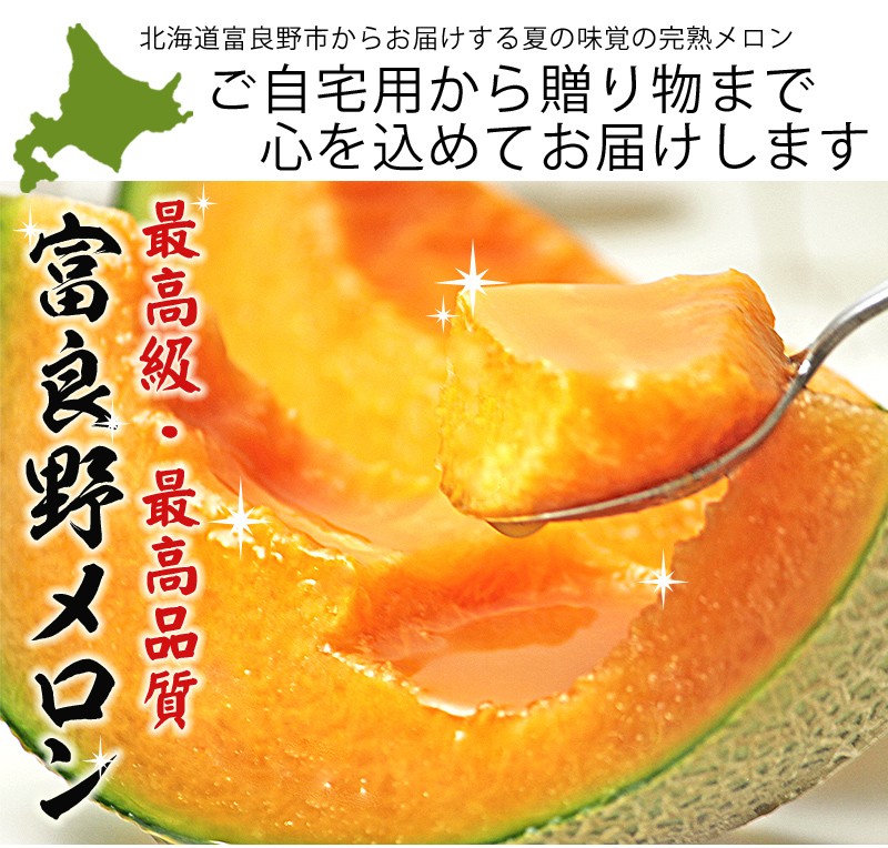 メロン ふらのメロン 北海道富良野産 赤肉メロン 特大 3Lサイズ