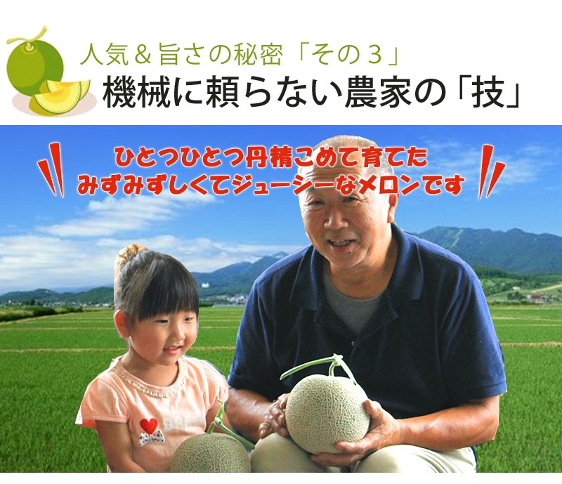 メロン ふらのメロン 北海道富良野産 赤肉メロン 特大 3Lサイズ(2kg