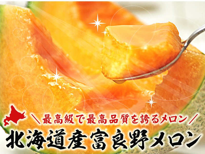 メロン ふらのメロン 北海道富良野産 赤肉メロン 特大 3Lサイズ