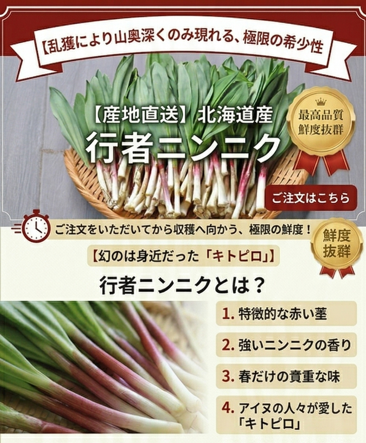 行者にんにく 北海道富良野産 500g 送料無料 日時指定不可 別途
