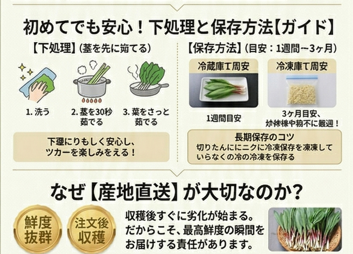 行者にんにく 北海道富良野産 500g 送料無料 日時指定不可 別途