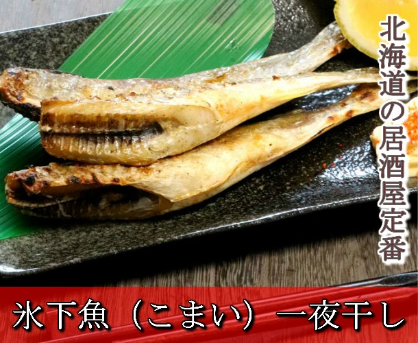 こまい 一夜干し 生干し 北海道産 500g 送料無料 氷下魚（こまい） 別途送料が発生する地域あり  :komai500g:スイートベジタブルファクトリー - 通販 - Yahoo!ショッピング