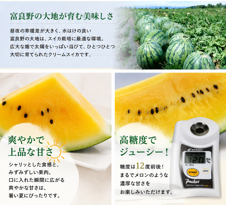 すいか スイカ 西瓜 北海道 富良野産 クリームスイカ 2玉 送料無料