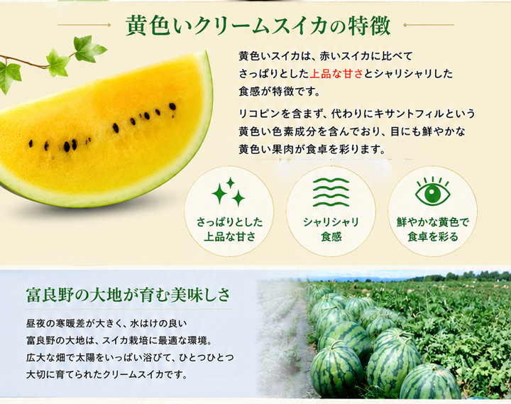 すいか スイカ 西瓜 北海道 富良野産 クリームスイカ 2玉 送料無料