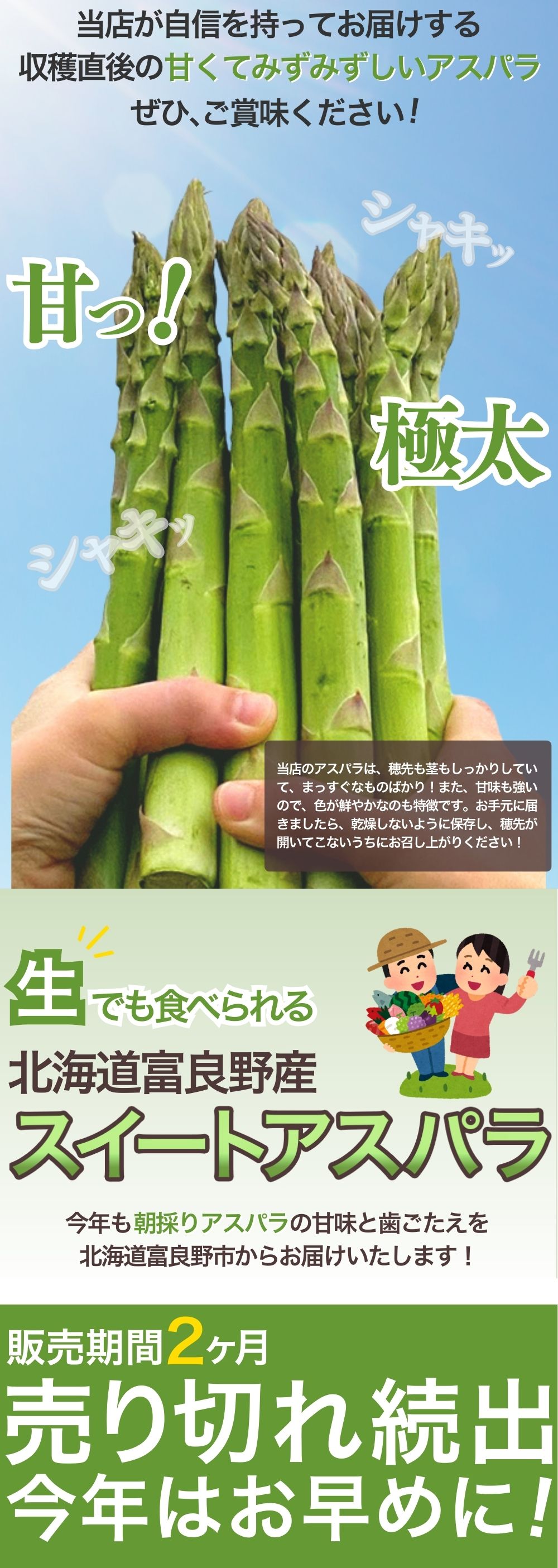 アスパラガス 北海道 グリーン アスパラ 超極太 4Lサイズ 500g 富良野