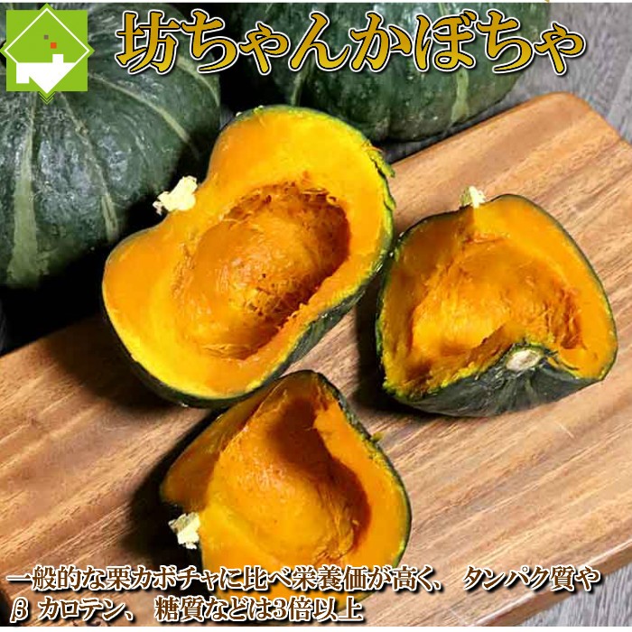 かぼちゃ 北海道富良野産 坊ちゃんかぼちゃ 5玉 送料無料 :bocchankabocha5:スイートベジタブルファクトリー - 通販 -  Yahoo!ショッピング