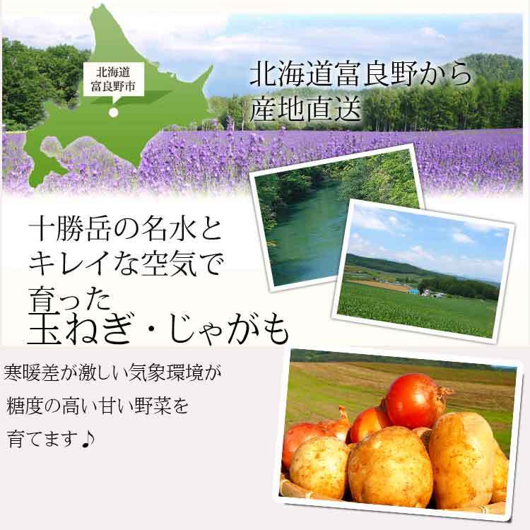 じゃがいも たまねぎ 北海道 富良野産 5ｋｇセット 送料無料 :jagatama5kg:スイートベジタブルファクトリー - 通販 -  Yahoo!ショッピング