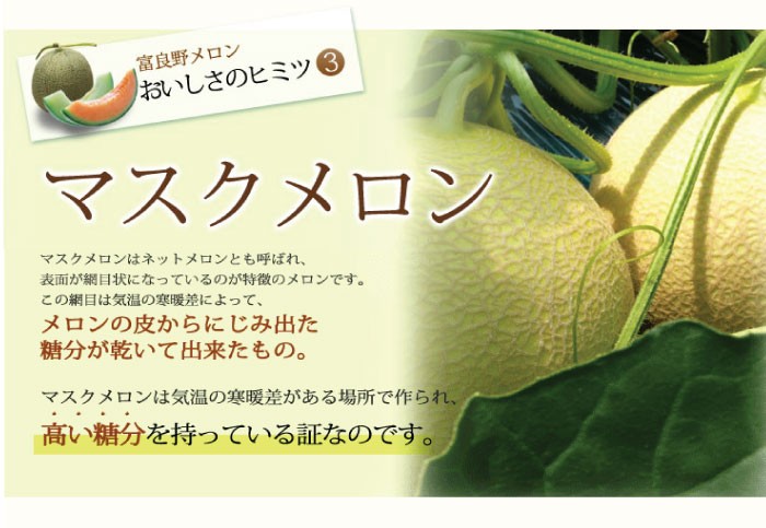 北海道 富良野メロン 赤肉メロン 秀品 Lサイズ 2玉 約1.2kg×2 送料無料
