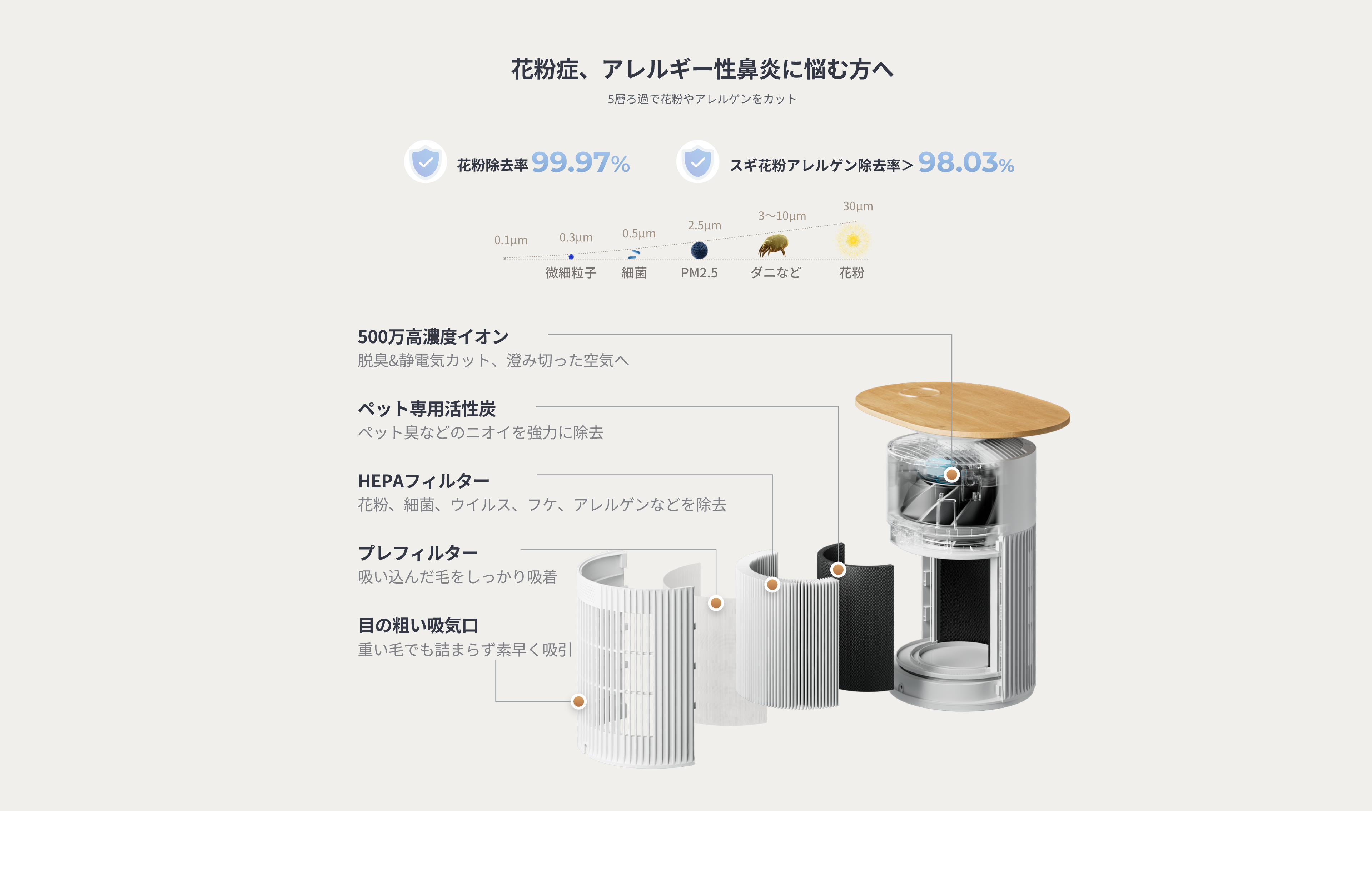 画像説明