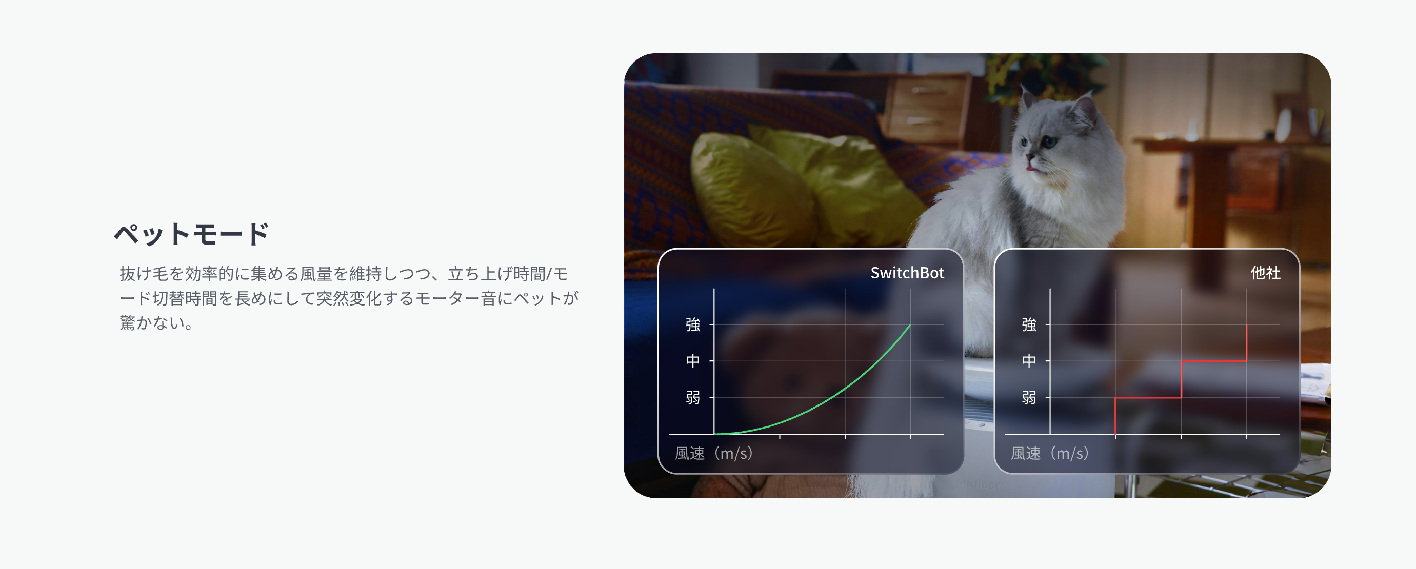 画像説明