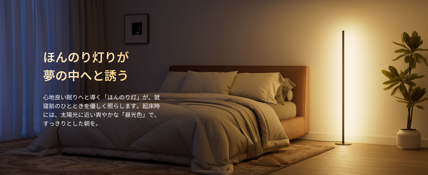 画像説明