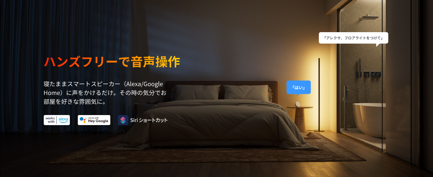 画像説明