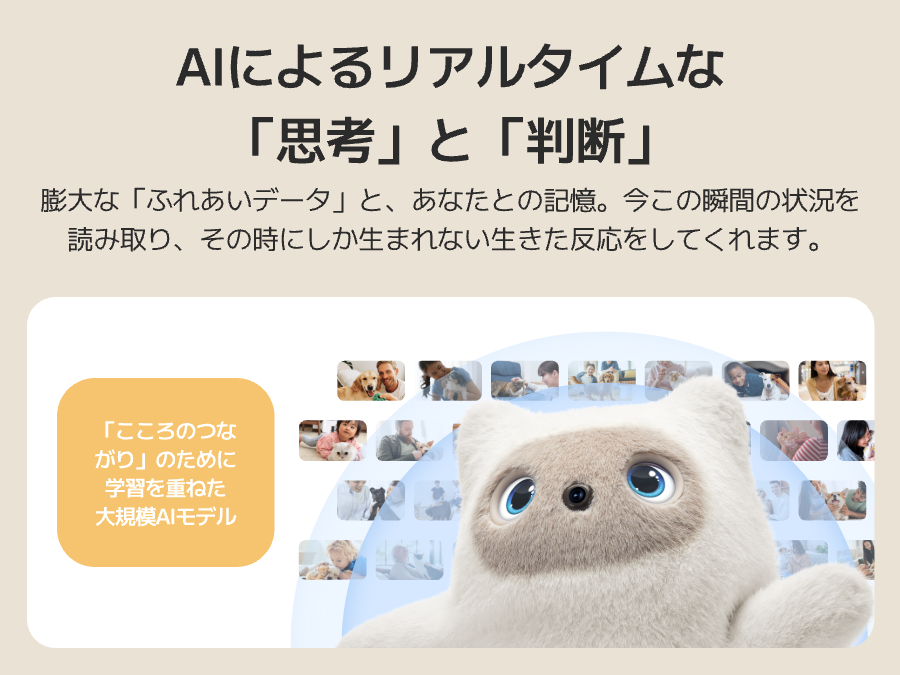 画像説明