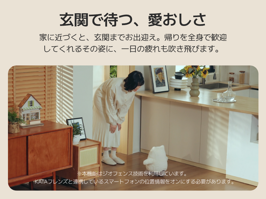 画像説明
