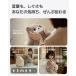 【6/26開始・バースデーセット+ライトプラン3ヶ月分プレゼント】SwitchBot KATAフレンズ AIペットロボット 感情が通じる オンデバイスAI搭載 AI学習 関連画像4