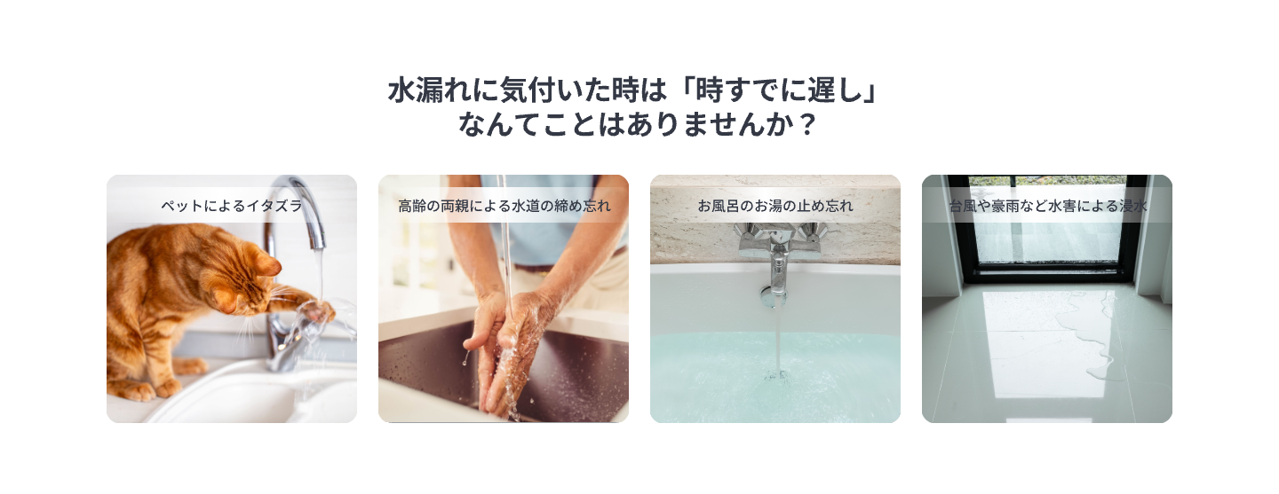 画像説明