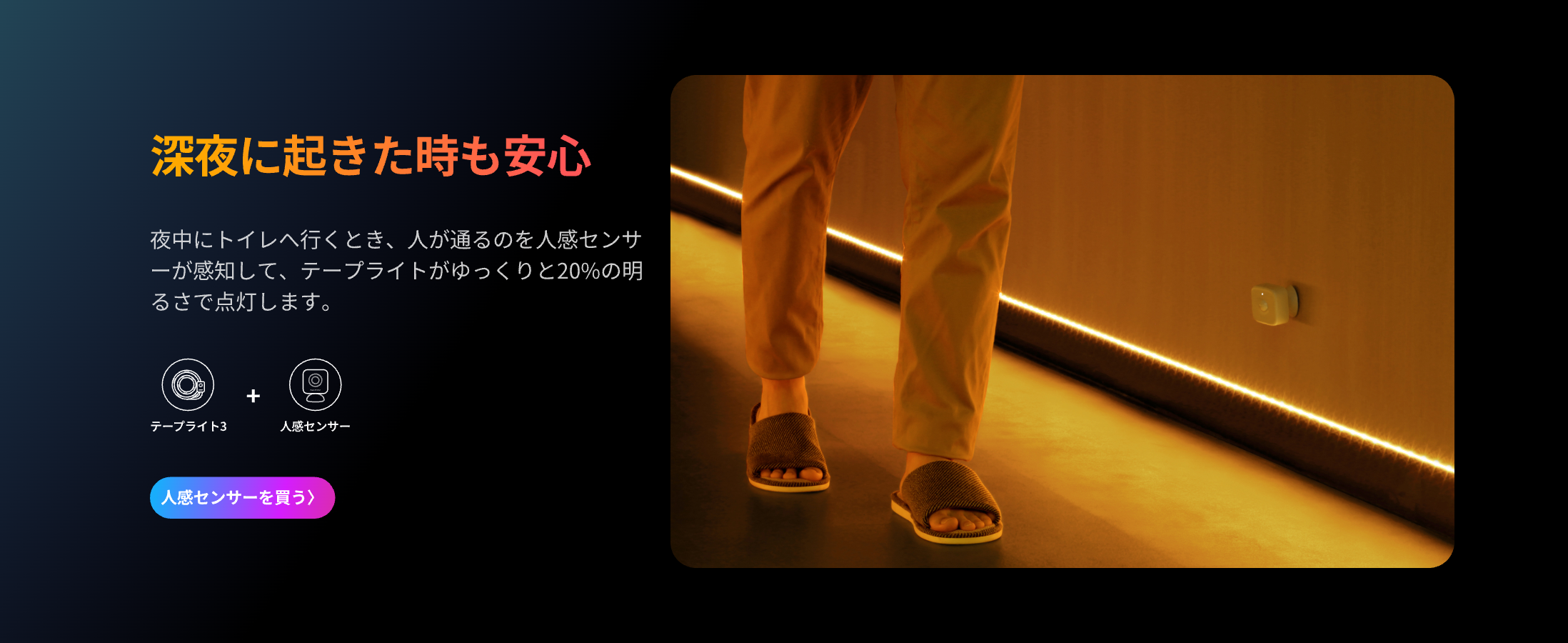 画像説明