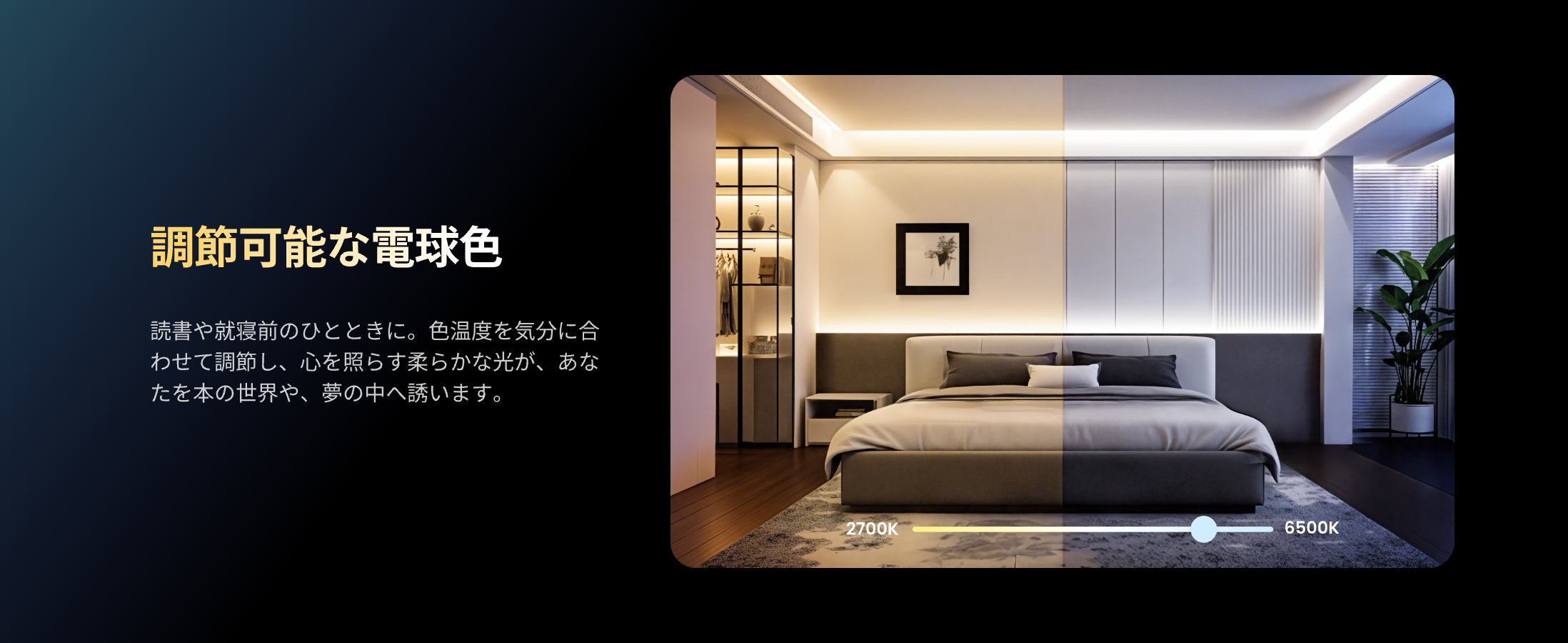 画像説明