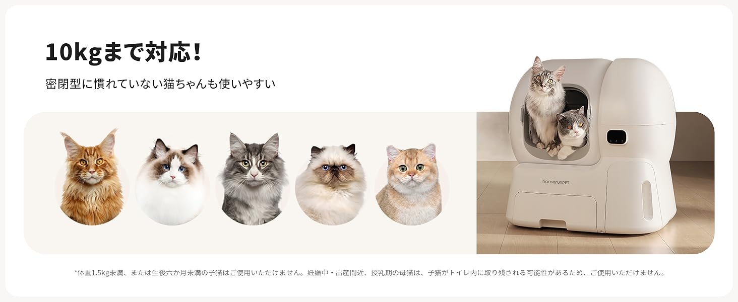 画像説明