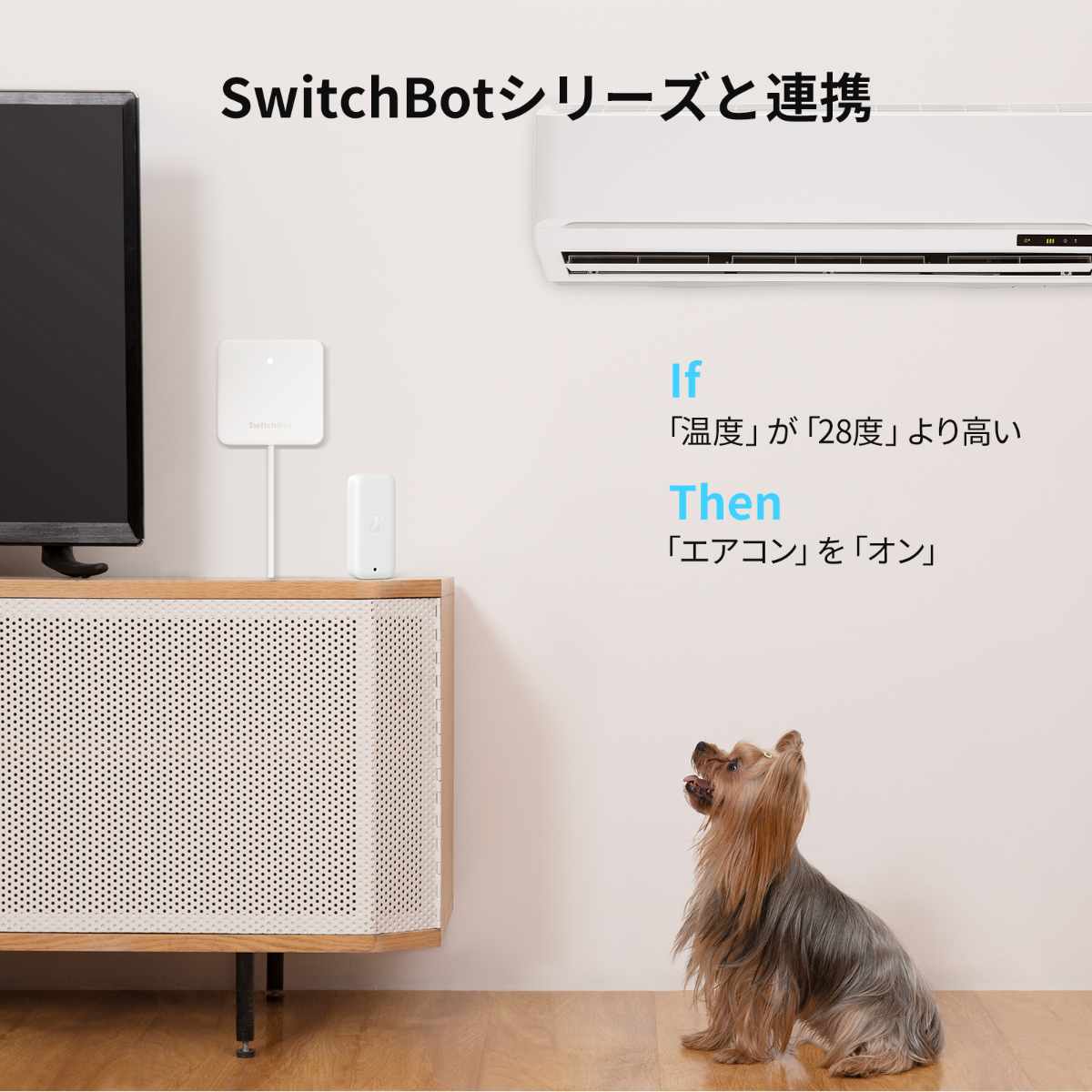SwitchBot 防水温湿度計 温度計 スイッチボット 室内 屋外用 温湿度計 スマホで温度湿度管理 高精度 絶対湿度 通知 グラフ記録 スマートホーム Alexa Siriに対応 | SwitchBot | 08