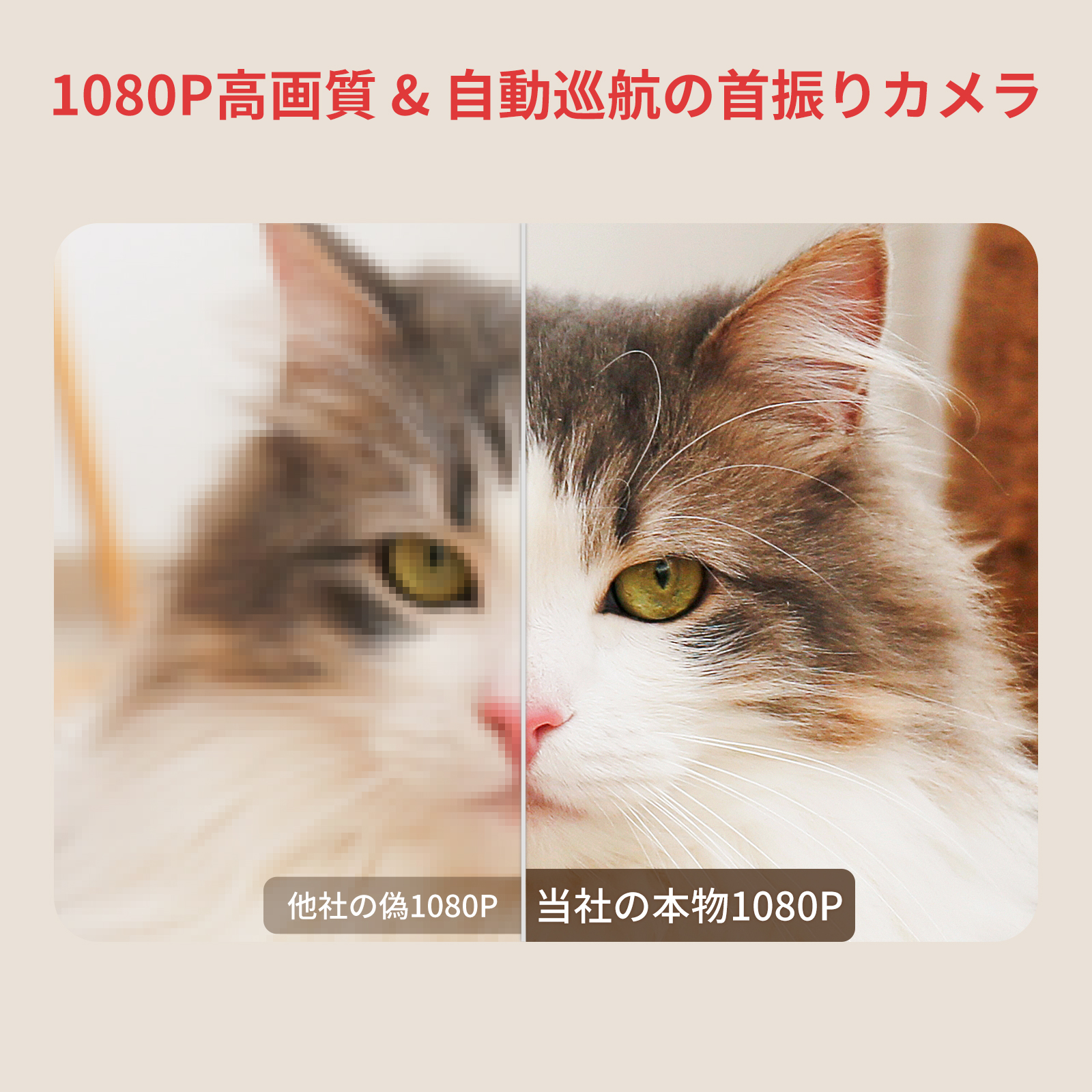 SwitchBot 防犯カメラ スイッチボット 監視カメラ Alexa 屋内 スマートホーム 双方向会話 遠隔 防犯対策補助金あり 見守りカメラ セキュリティ3年保証 | SwitchBot | 02