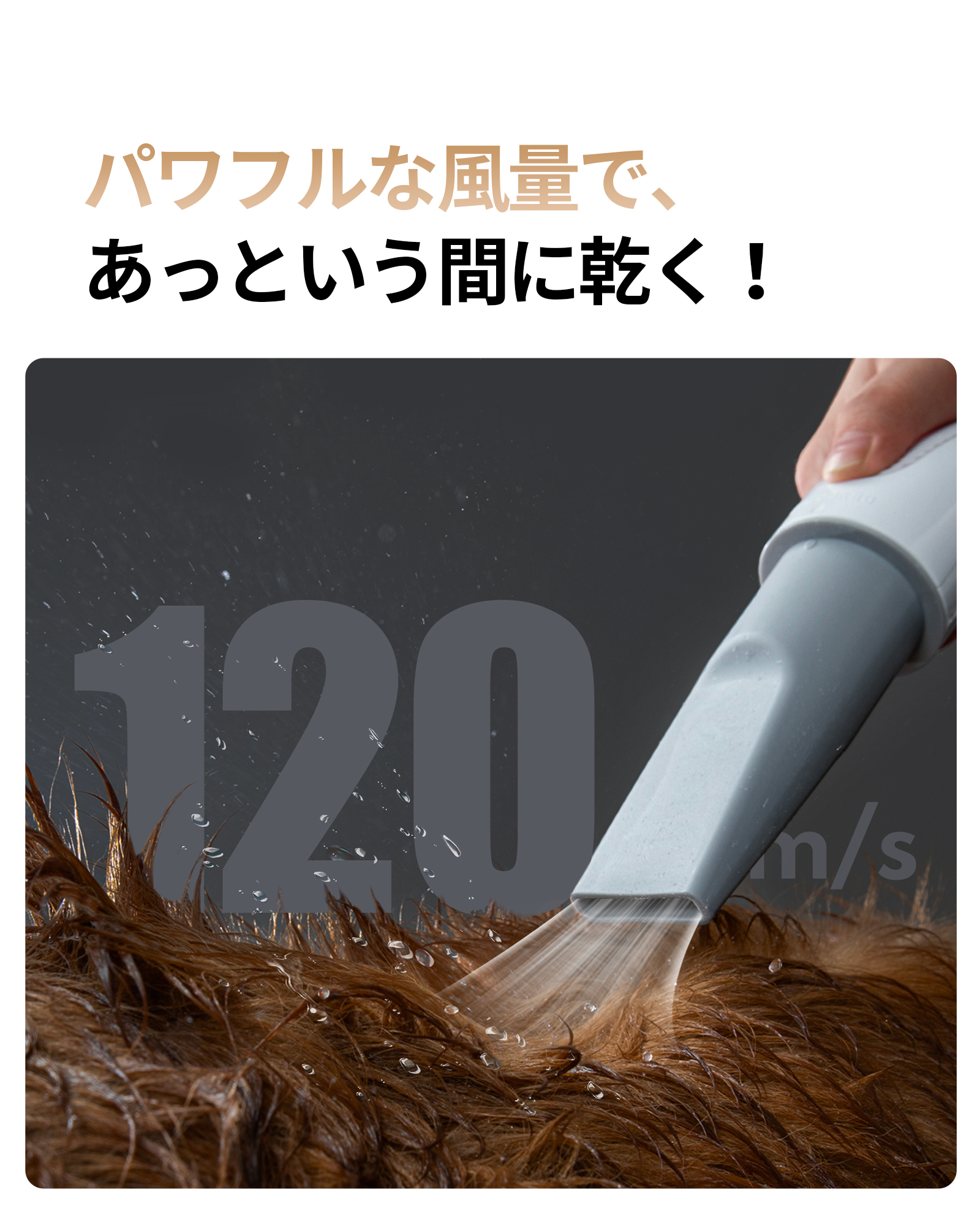 homerunPET ペットブロワー 最大120m/s高速風 99段階風量 3段階温度調節 4種ノズル搭載 マイナスイオン 静音設計PD10 |  | 01