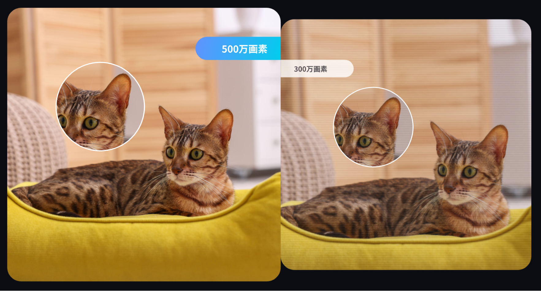 画像説明