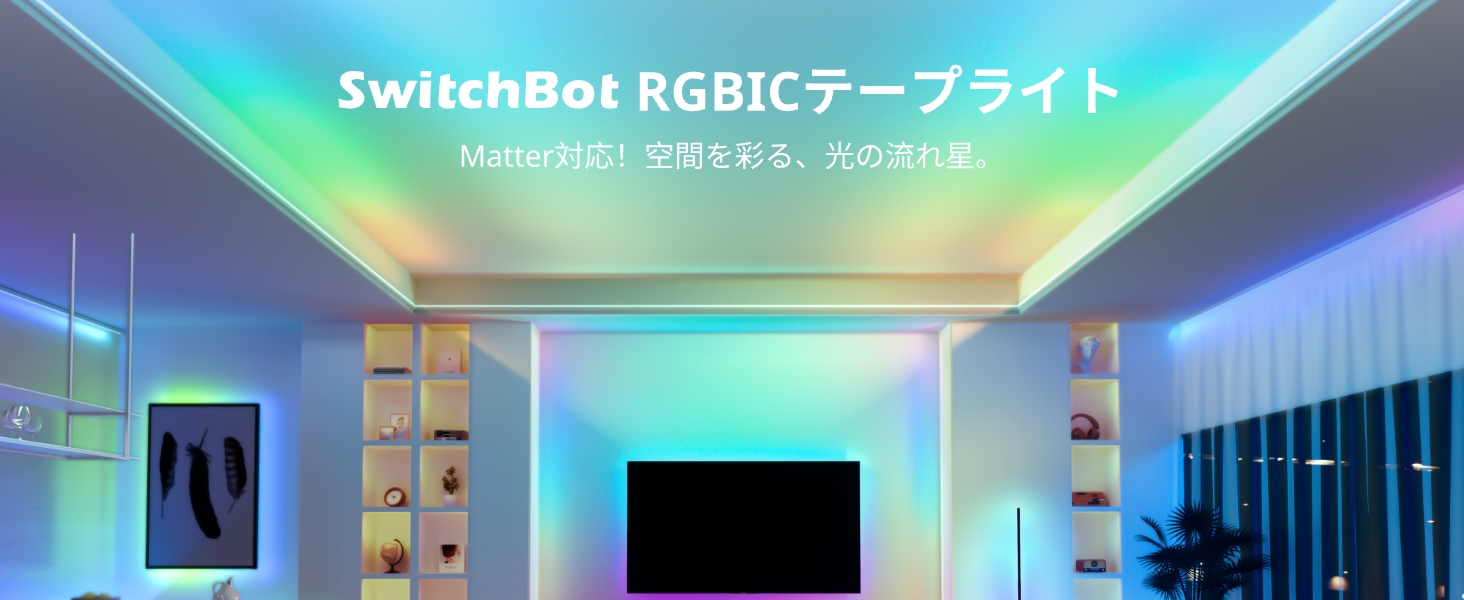 画像説明