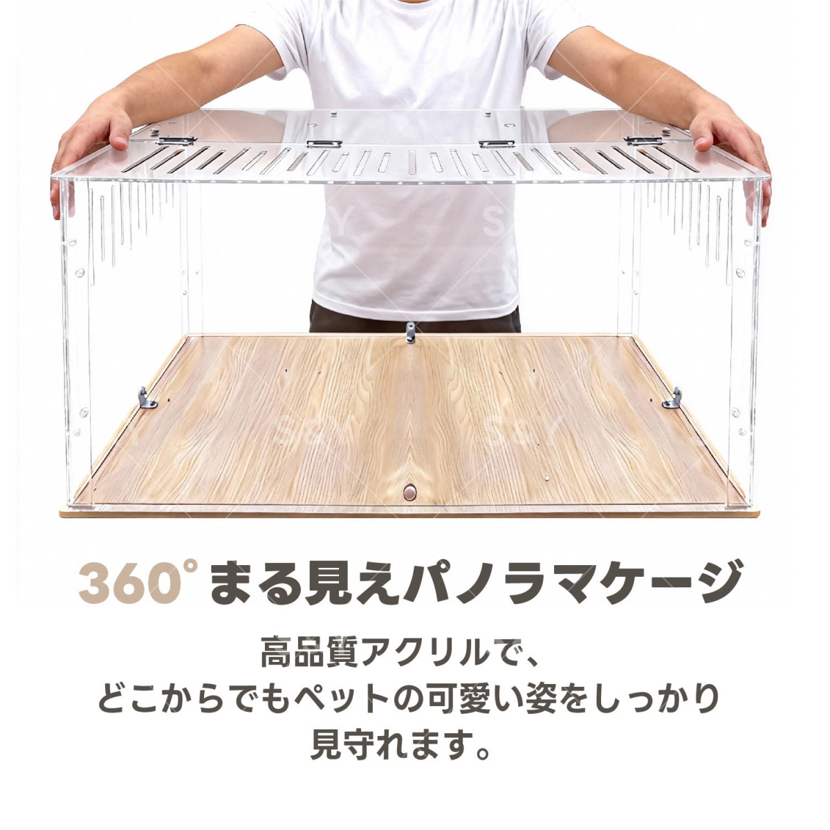 magnet_176533342100.jpg