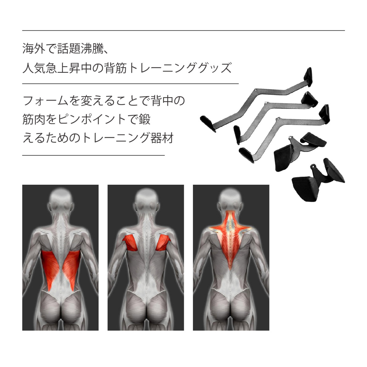 Kurflo マグ/グリップ 筋トレ ウエイトトレーニング 背中の