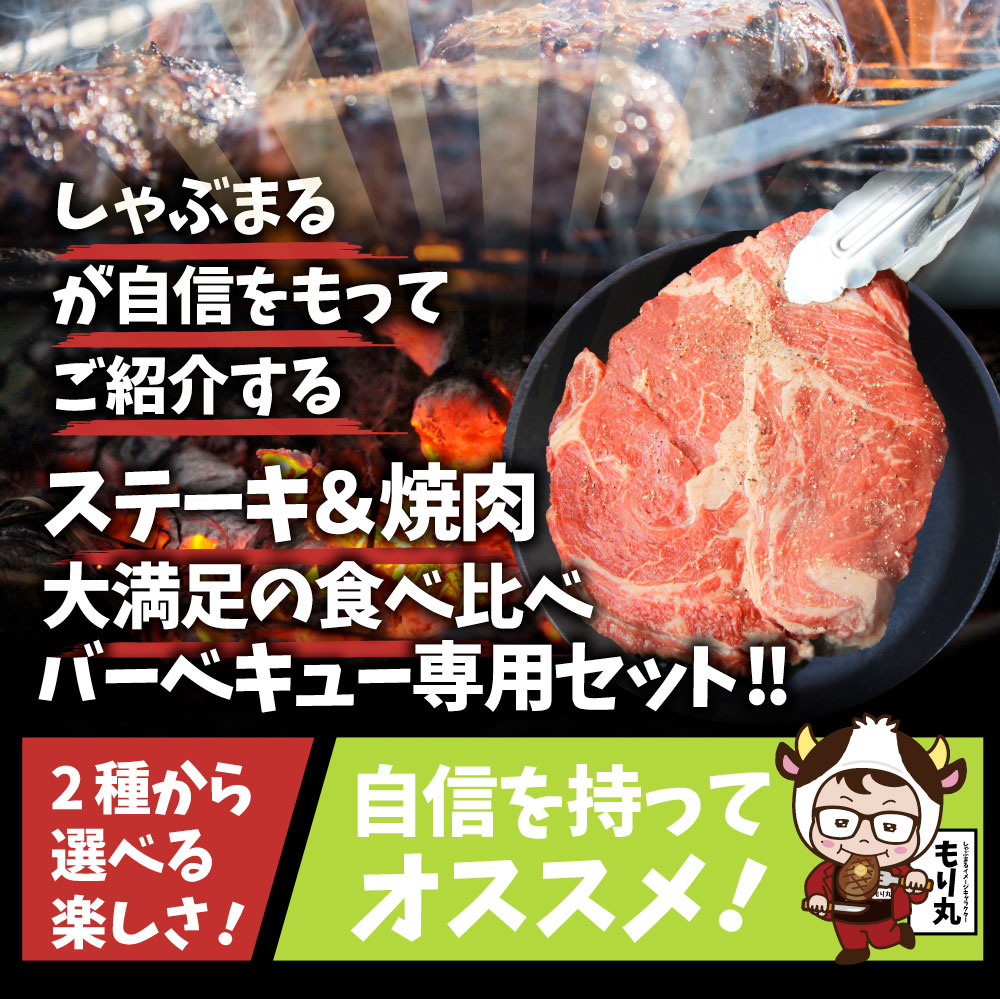 ステーキ ＆ 焼肉 バーベキュー専用セット 《肉重量最大2.6kg》 選べる