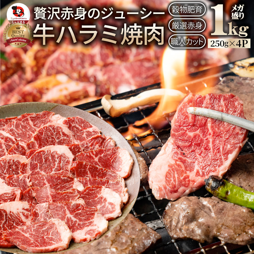 牛肉 肉 ハラミ 焼肉 1kg 250g×4P メガ盛り 赤身 はらみ バーベキュー 