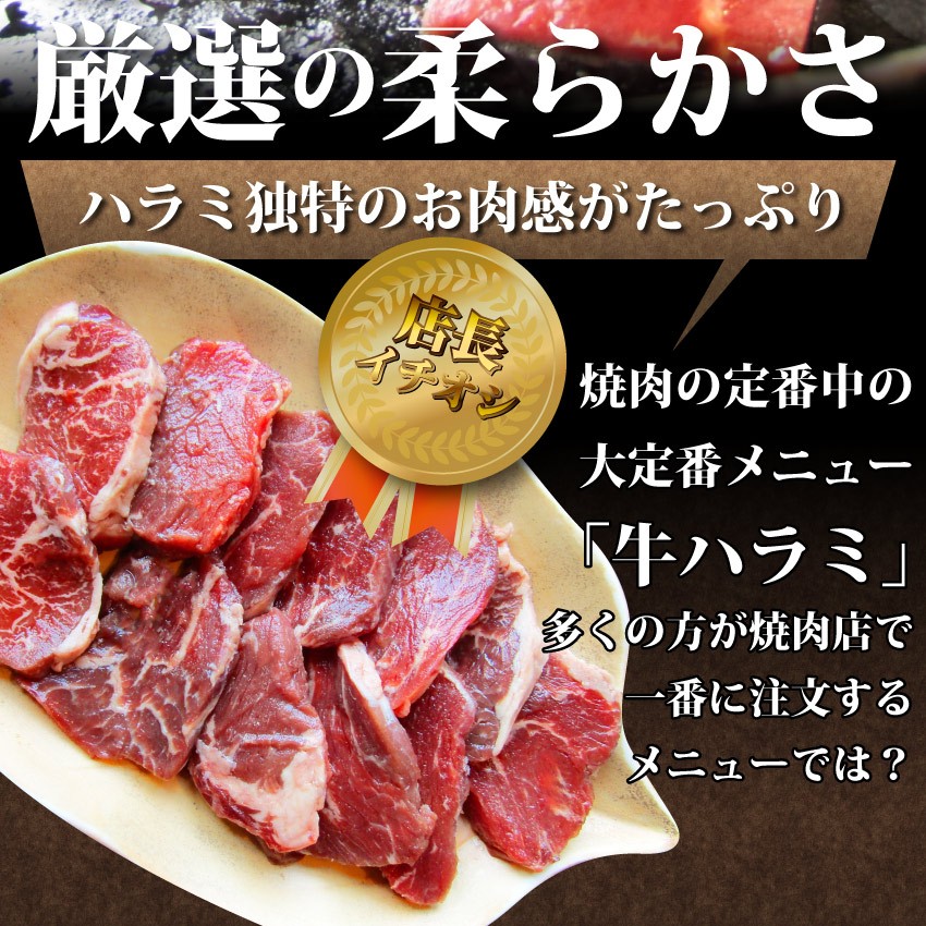 牛肉 肉 食品 ハラミ 焼肉 サガリ 2kg 250g×8P メガ  - dショッピング
