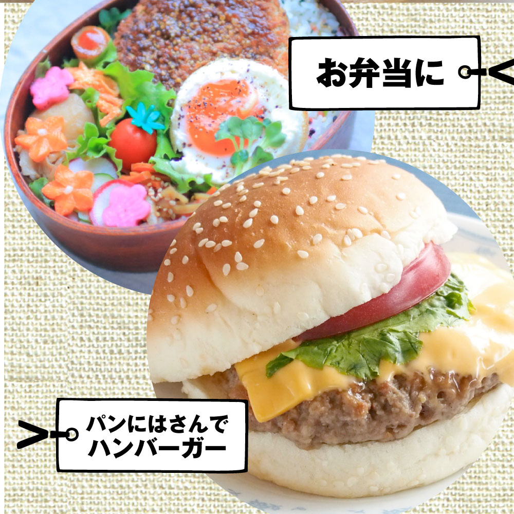 classificados.acheiusa.com - ハンバーグ 惣菜 粗挽き メガ盛り 4.8kg