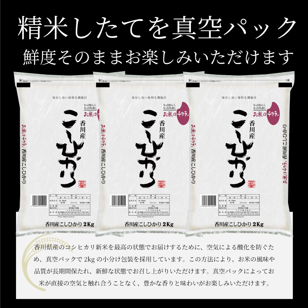 楽天市場】【新潟米 令和6年産】無洗米 新潟産 コシヒカリ 真空