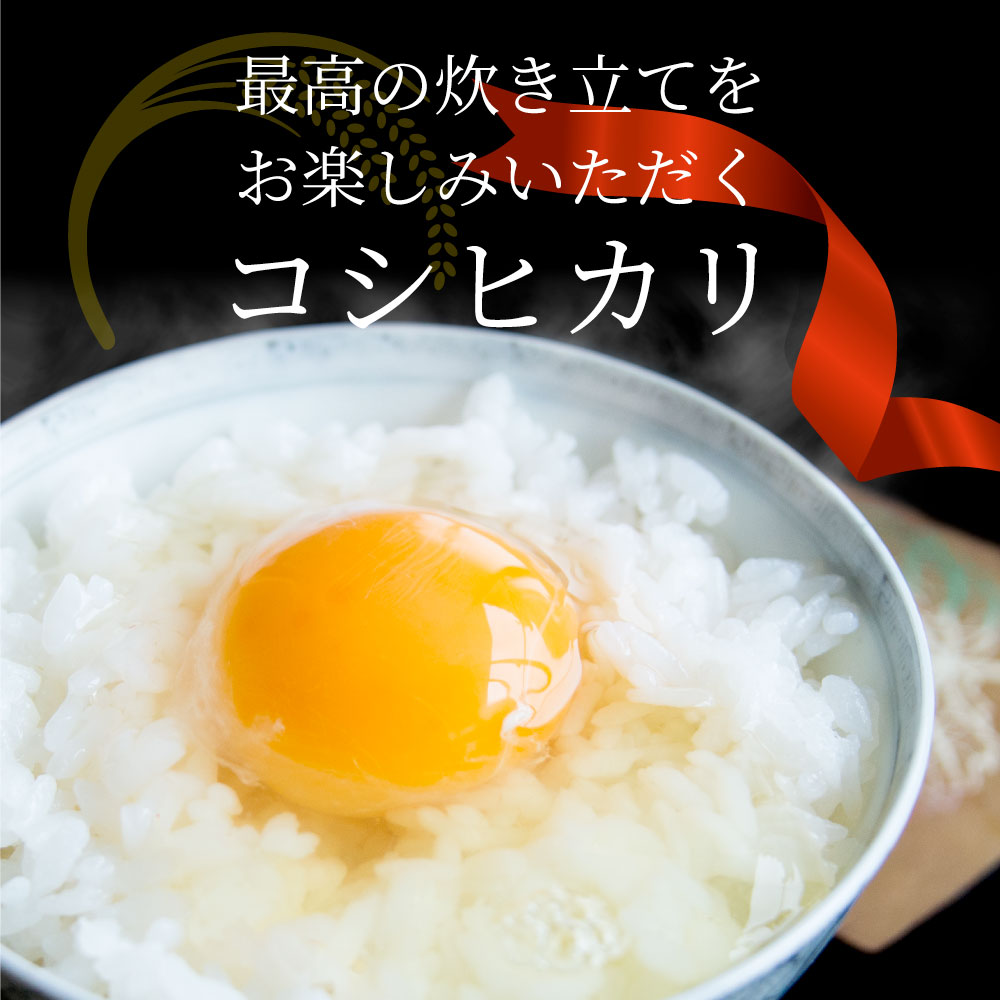R6年  香川県産 お米 新米 米 6kg 2kg×3袋 真空パック 小分け コシヒカリ 香川県産 令