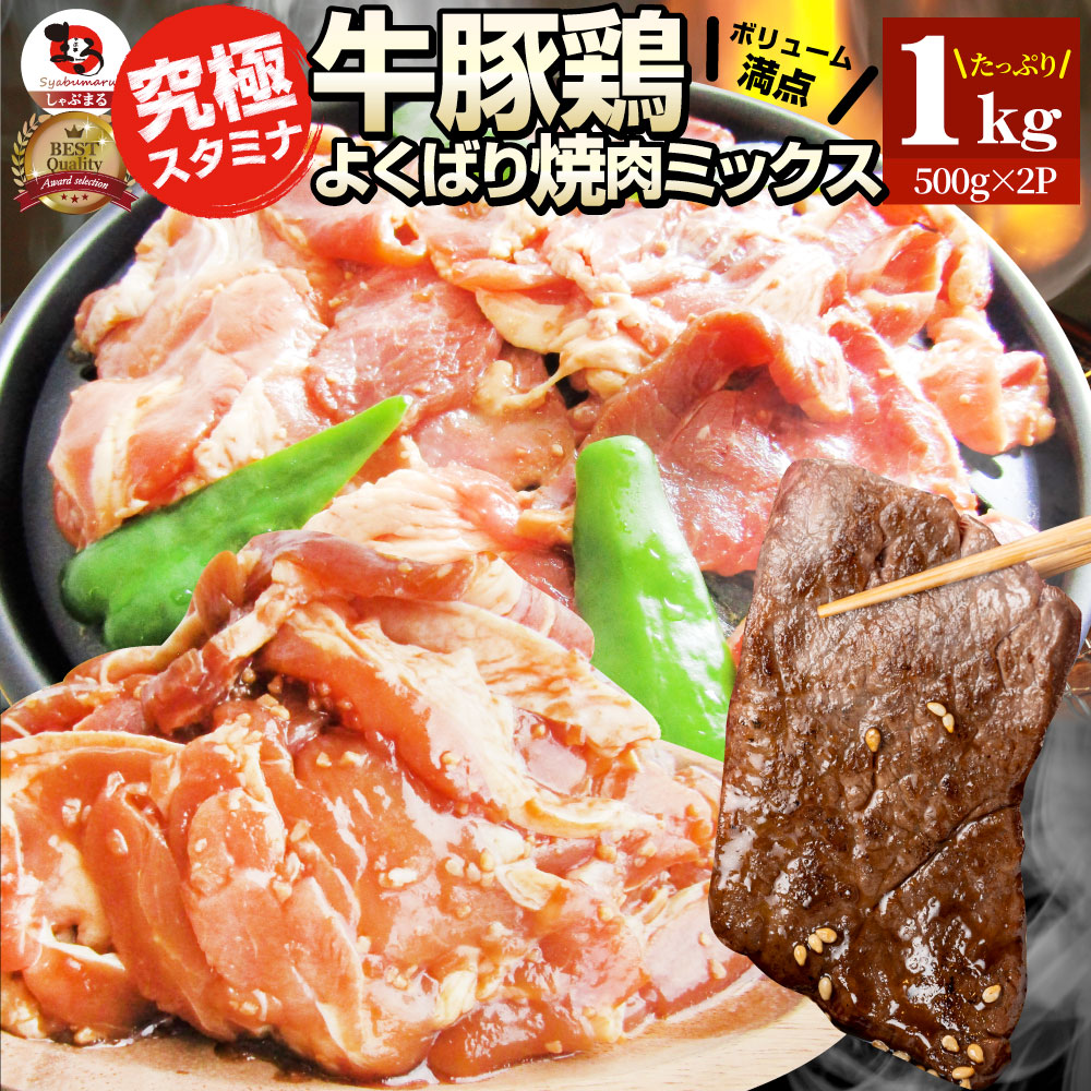 焼肉 ざんまい 牛豚鶏よくばり焼肉ミックス 1kg（500g×2） おトク お 