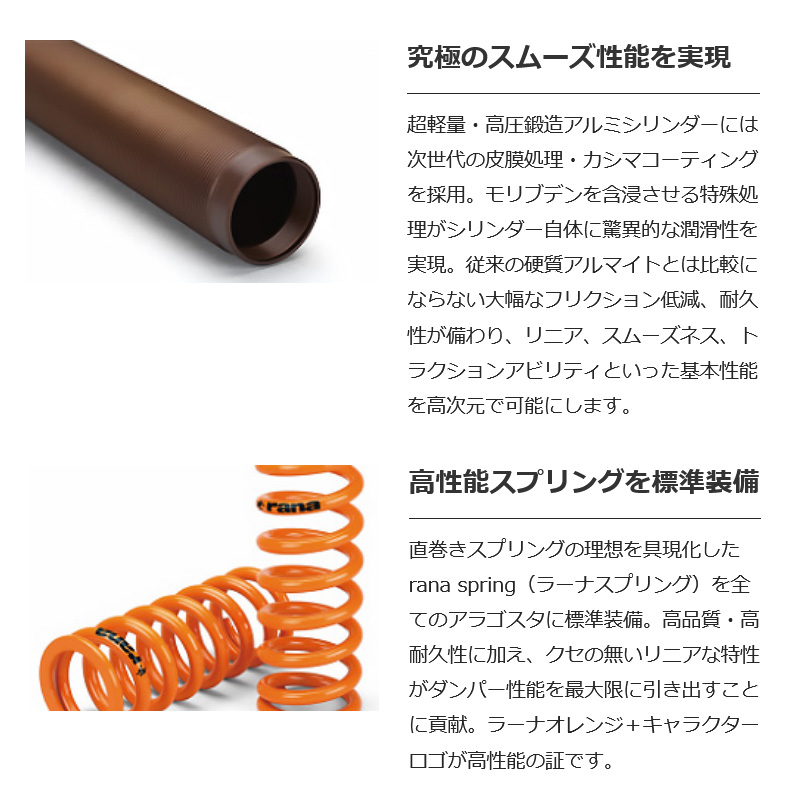 アラゴスタ 全長調整式車高調 with アラゴスタカップ 2CUP TYPE-E 1台分 ステージア WGNC34/WGNC34改 ARAGOSTA 3AAA.N8.E1.000+2CUP