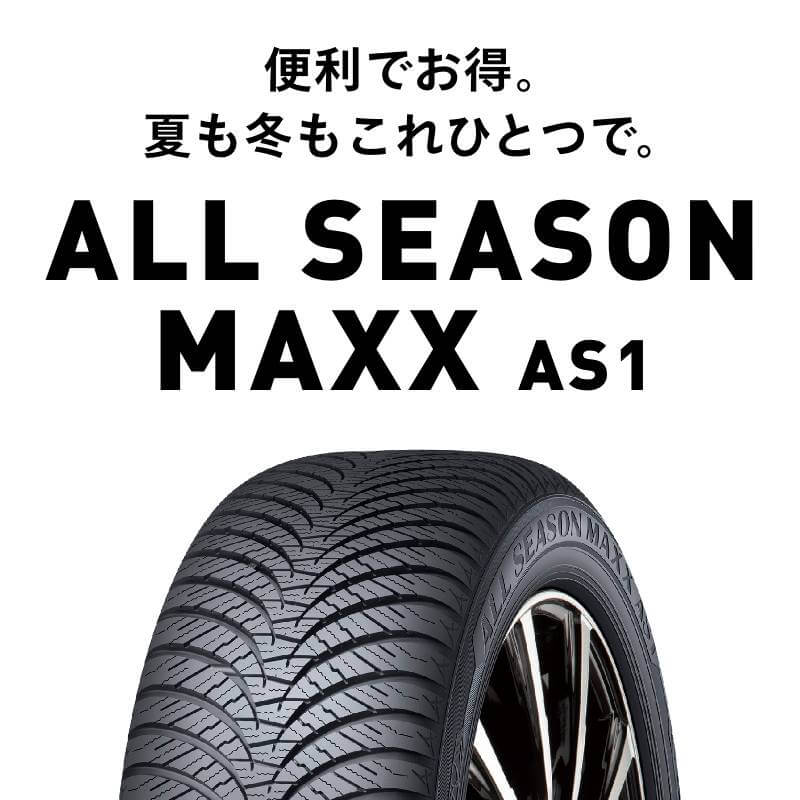 145/80R13 2本 S オールシーズンタイヤ 夏タイヤ 145 80 13インチ DUNLOP/ダンロップ ALL SEASON MAXX AS1の画像