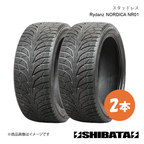 225/45R17 スタッドレス タイヤ単品 2本セット SHIBATIRE シバタイヤ Rydanz NORDICA NR01 225 45 17 S019×2