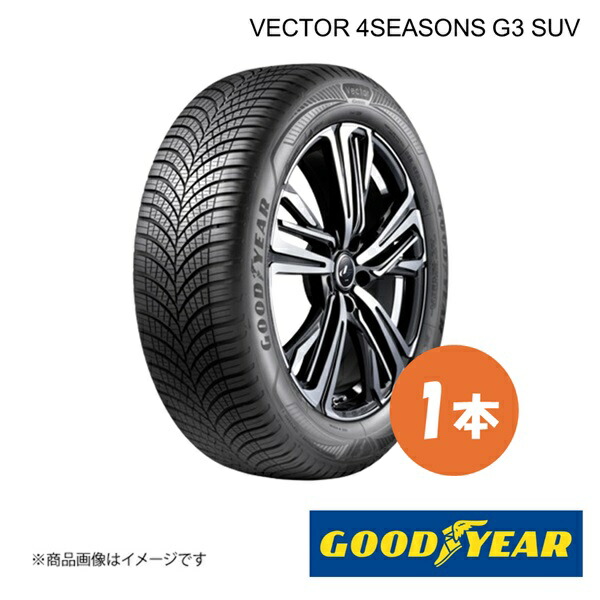 サマータイヤ ホイール4本セット ウェッズ レオニス GX NITTO NT555 G2