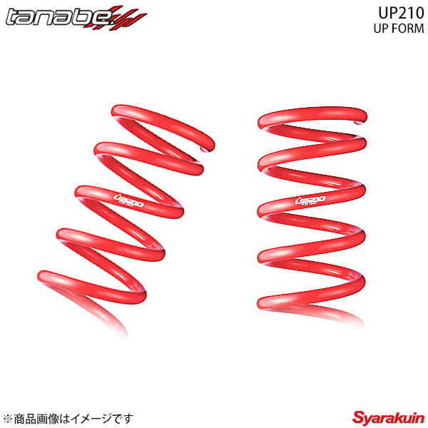 DEVIDE UP210 アップサス 1台分set アルファード AGH30W 2018年01月〜(H30〜) TANABE タナベ agh30wuk