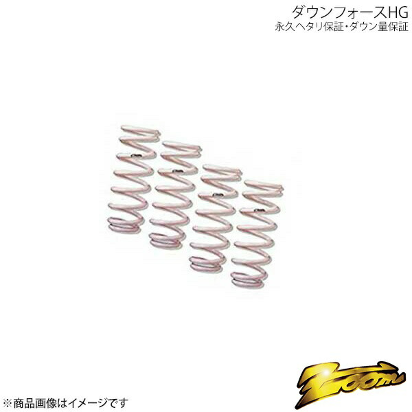ダウンサス ダウンフォースHG 1台分 アウディ TT Coupe 8NBAMF 2000.05〜2006.10 ZOOM ズーム ZAU015005SHG