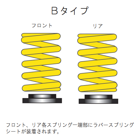 ENDLESS エンドレス 車高調 FUNCTION プラス7 Bタイプ S2000 AP1 ZS571P07B｜syarakuin-shop｜04