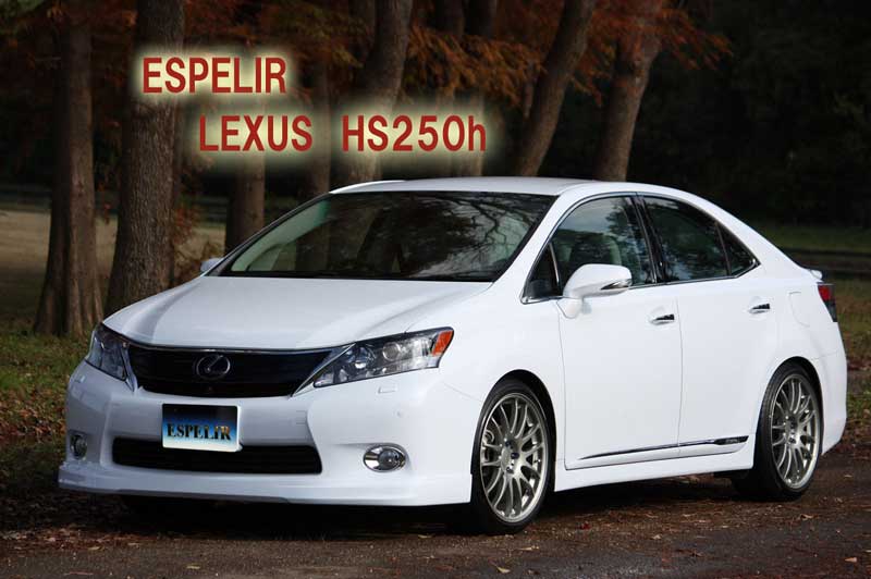 Espelir エスペリア Super Downsus 1台分 HS250h ANF10 H21/7〜24/11 品番:ESX-887_3