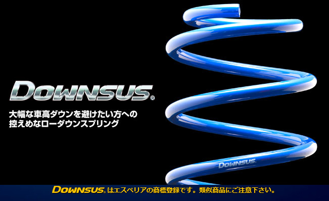 ESPELIR Espelir エスペリア Downsus フロント フィット GR6 品番:H 