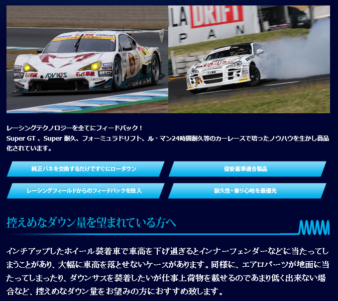 ESPELIR Espelir エスペリア Downsus 1台分 デイズ B21W H25/8〜H27/10 
