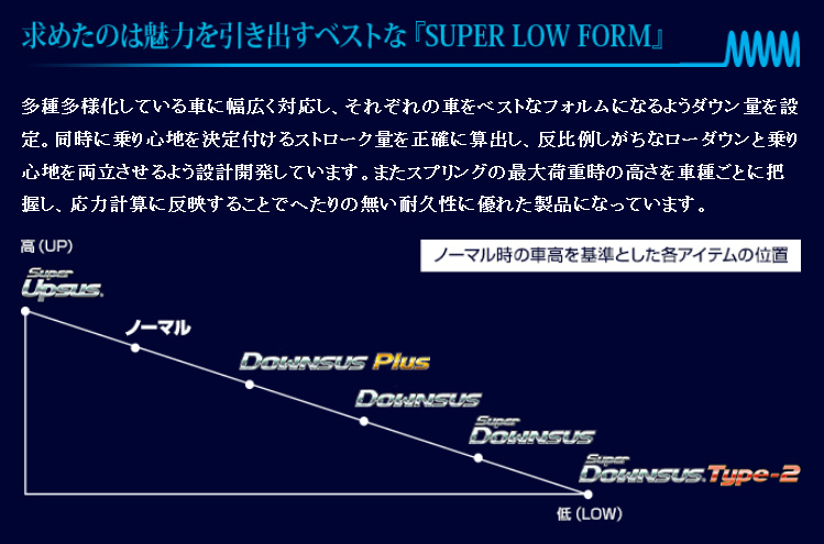 ESPELIR Espelir エスペリア Super Downsus+スーパーダウンサスラバー 