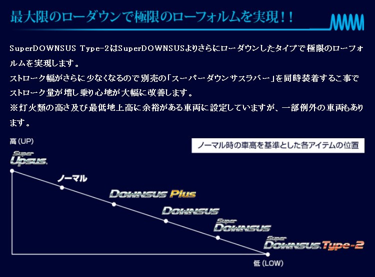 エスペリア ダウンサス 1台分セット ESPELIR Espelir Super Downsus Type-2+スーパーダウンサス