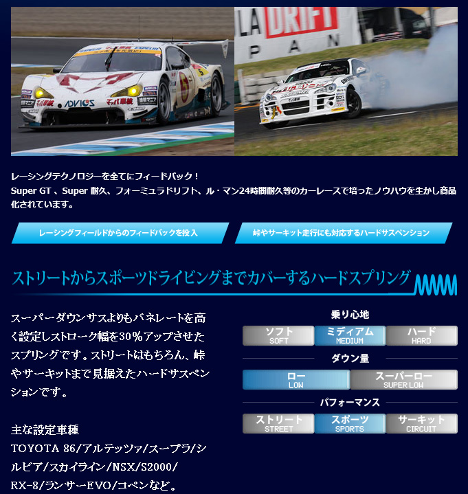ESPELIR（エスペリア） Super Downsus GT リア シルビア S14 品番:ESN